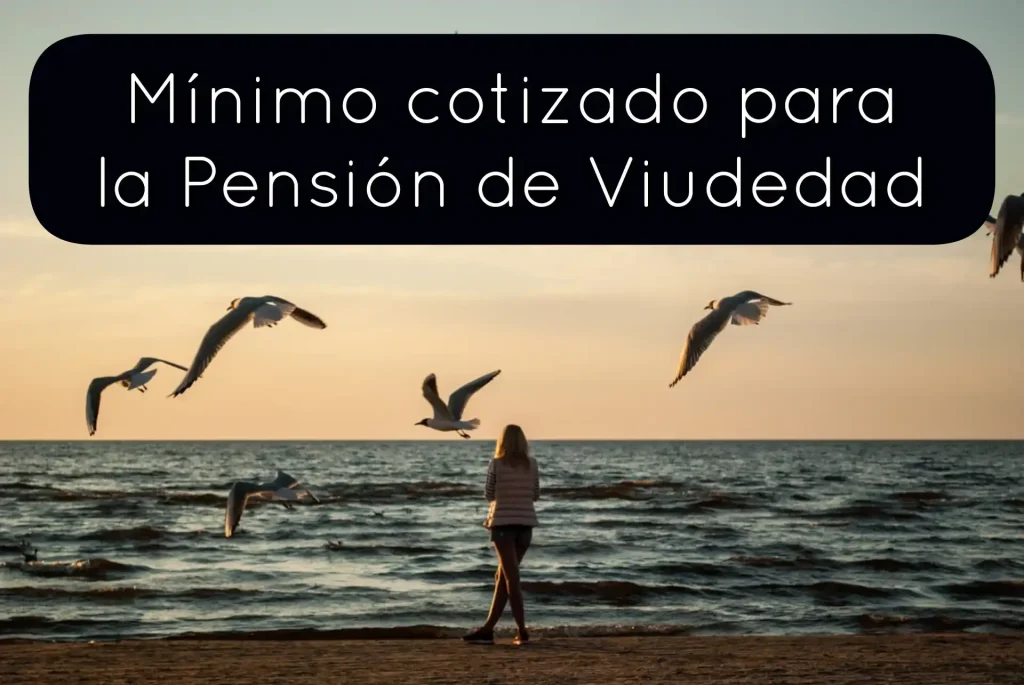 Cotización mínima pensión viudedad