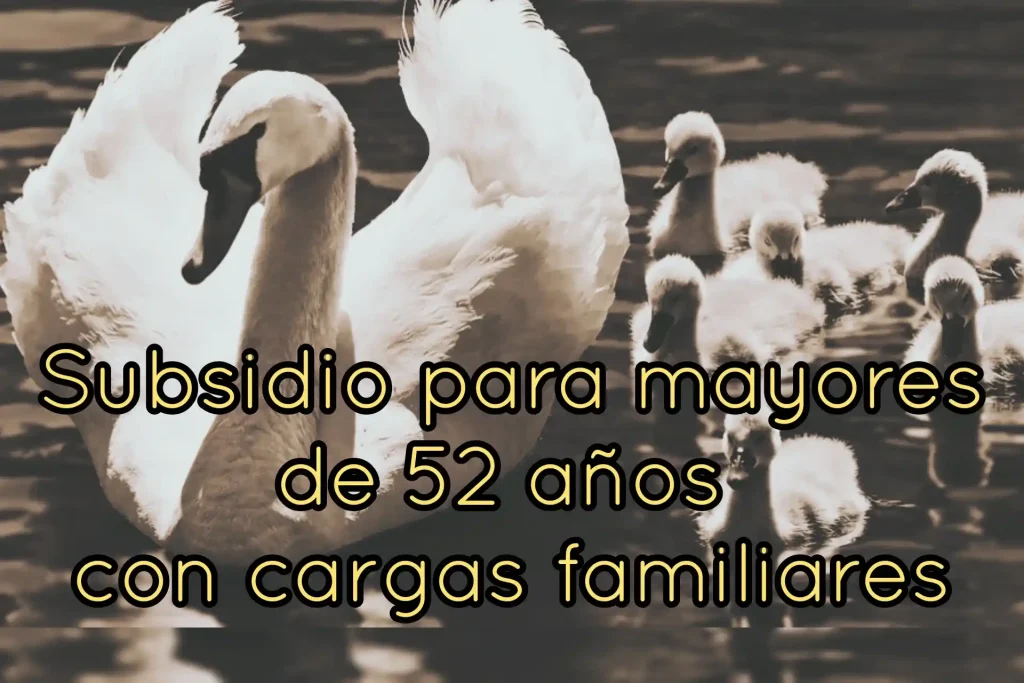 subsidio mayores 52 cargas familiares